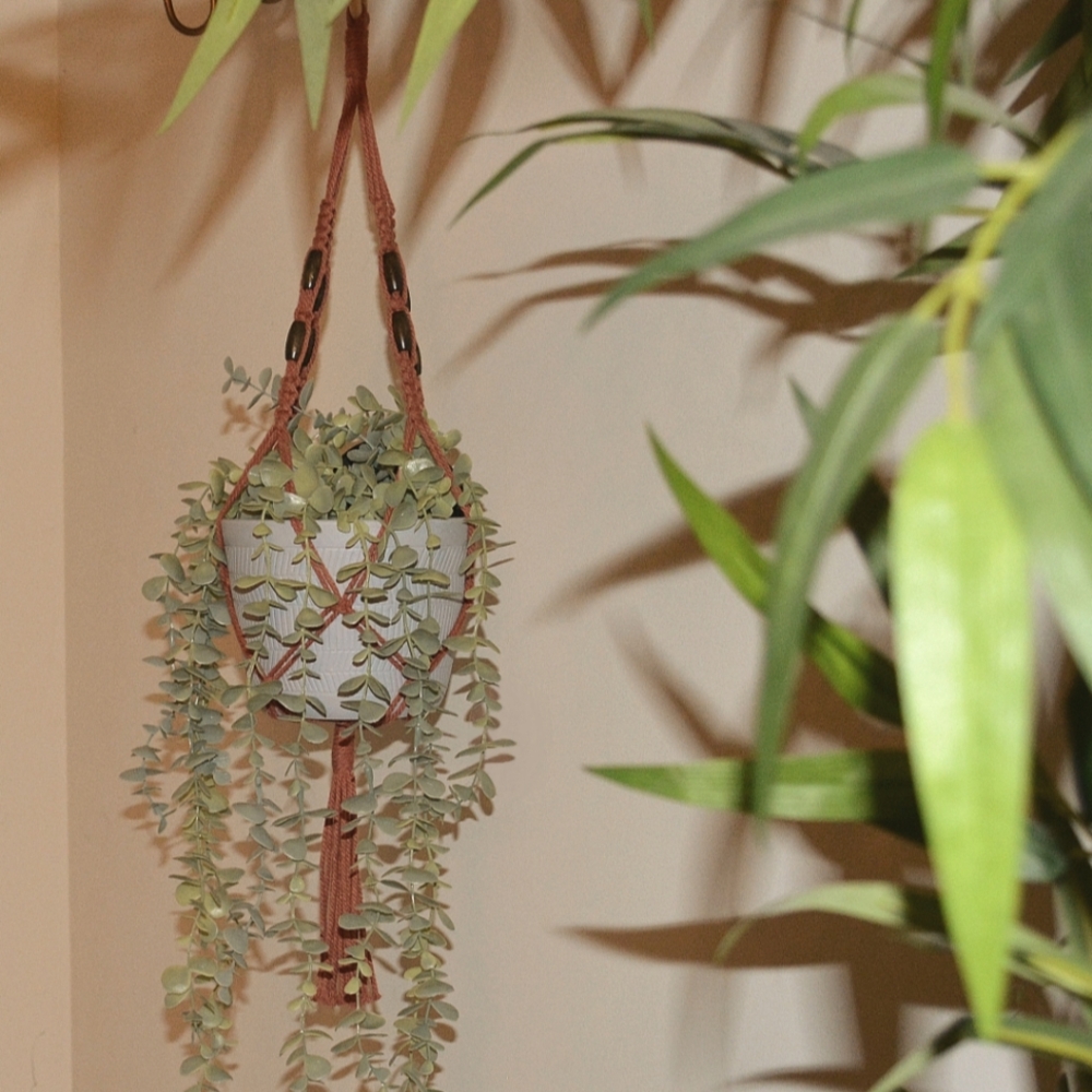 Handmade Macrame Plant Hanger